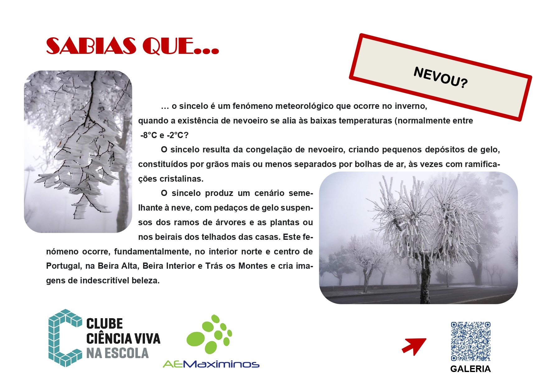 SABIASQUE3Sincelo