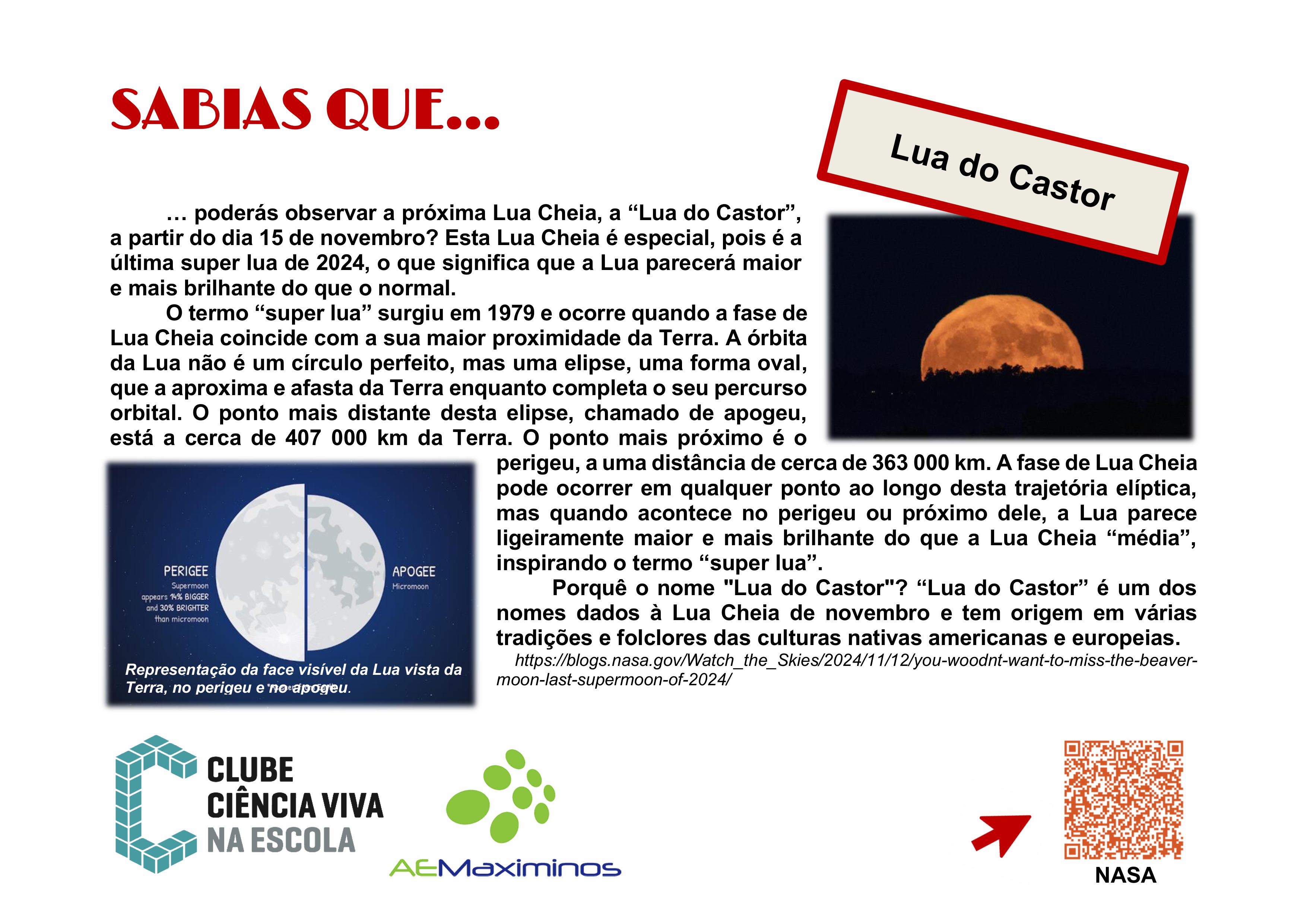 SABIAS QUE Lua de Castor