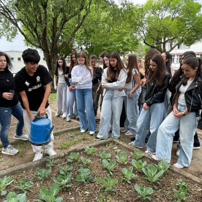 Missão Gota a Gota: aprender a cuidar da água na horta 